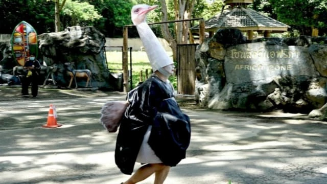 清邁動物園舉行鴕鳥逃跑演習 網民啼笑皆非