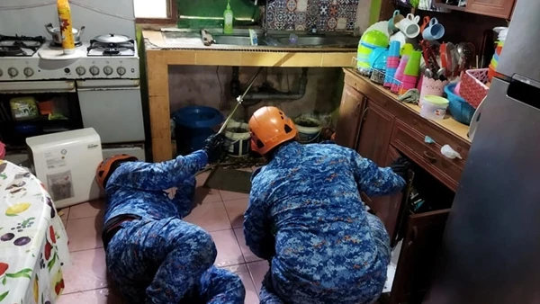 蟒蛇潛入屋內 民防局派員捕捉