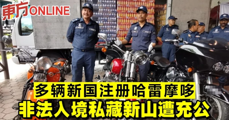 多輛新國註冊哈雷摩哆　非法入境私藏新山遭充公
