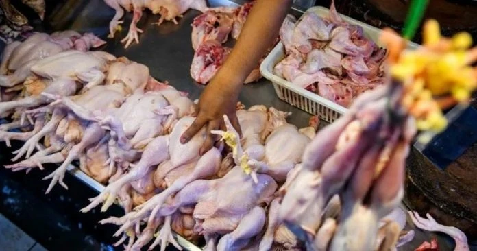 貿消部長：肉雞頂價維持9.40令吉