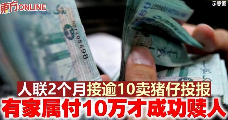 人聯2個月接逾10賣豬仔投報　有家屬付10萬才成功贖人