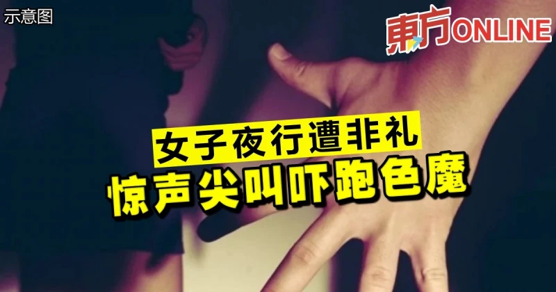 女子夜行遭非禮   驚聲尖叫嚇跑色魔