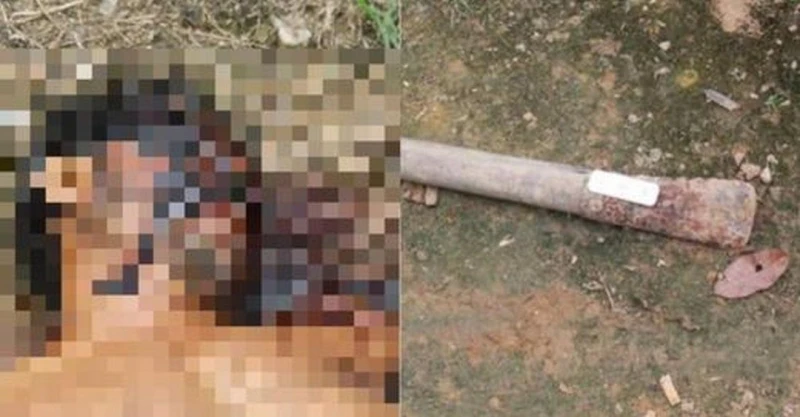 緬甸外勞臥屍木瓜園　疑遭同鄉用鐵鏟打死