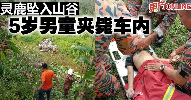 靈鹿墜入山谷　5歲男童夾斃車內