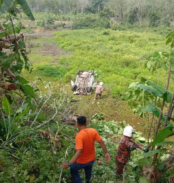 靈鹿墜入山谷　5歲男童夾斃車內