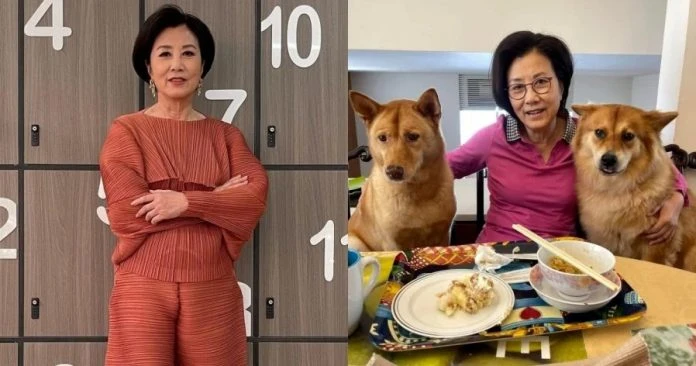 親喂愛犬吃巧克力蛋糕　汪明荃惹網民狠批：狗狗不能吃！