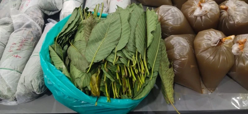 「一站式」販賣哥冬水 　主嫌及6顧客被捕