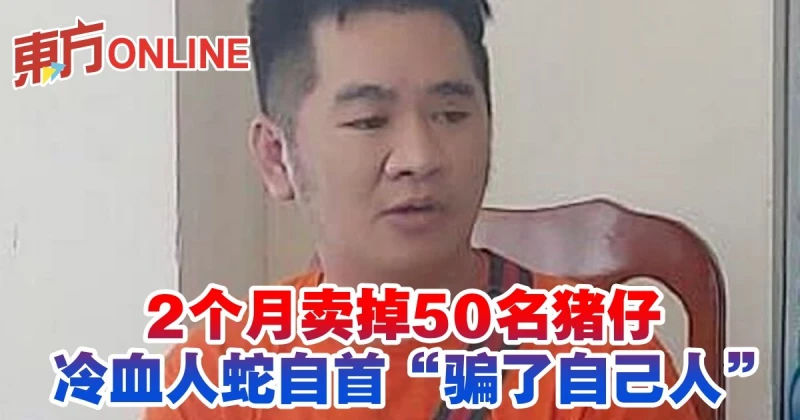 2個月賣掉50名豬仔　冷血人蛇自首「騙了自己人」