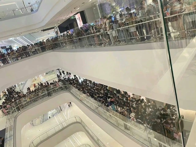 楊冪粉絲擠爆商場活動腰斬　工作室火速發文道歉