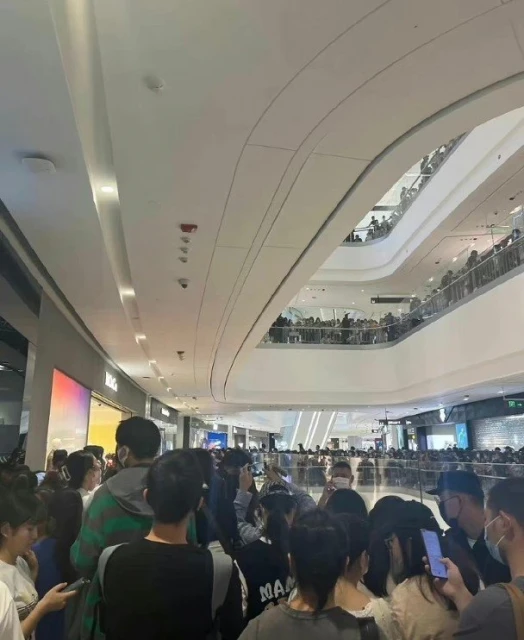 楊冪粉絲擠爆商場活動腰斬　工作室火速發文道歉