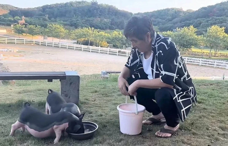 《唐伯虎點秋香》「寧王」淡出熒幕　鄉村養豬過平淡生活