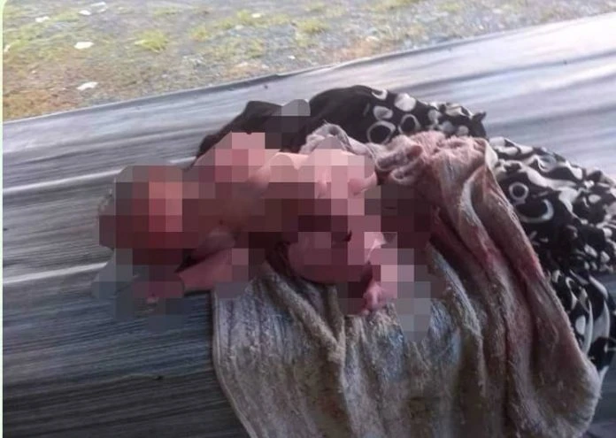 身上還連著臍帶男嬰   被發現遺棄美食販攤檔口