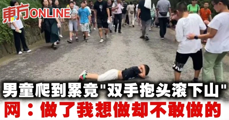 男童爬到累竟「雙手抱頭滾下山」　網驚：做了我想做卻不敢做的