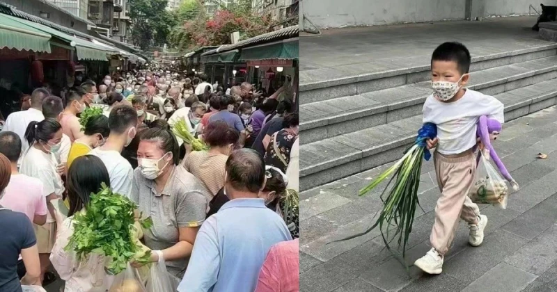 【新冠肺炎】成都封城4天　全城瘋搶物資整隻豬抬回家