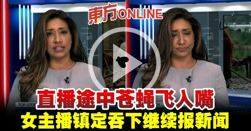 直播途中蒼蠅飛入嘴　女主播鎮定吞下繼續報新聞
