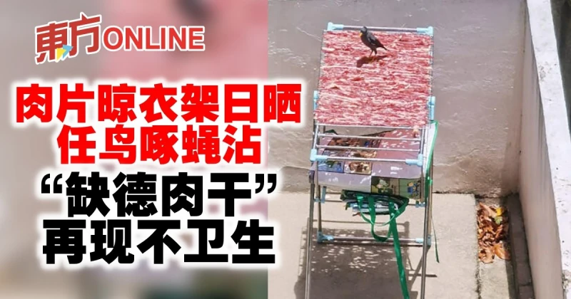 肉片晾衣架日曬任鳥啄蠅沾　獅城再現「缺德肉乾」不衛生