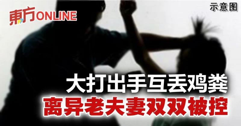 家前大打出手互丟雞糞　華裔離異老夫妻雙雙被控