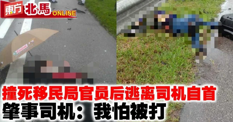 撞死移民局官員後逃離司機自首　肇事司機：我怕被打