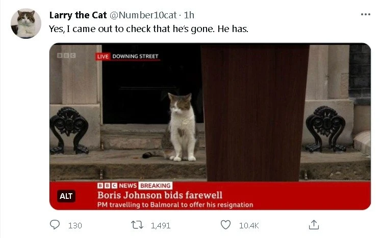 現身詹森演講現場　英國第一貓：我看他走了沒