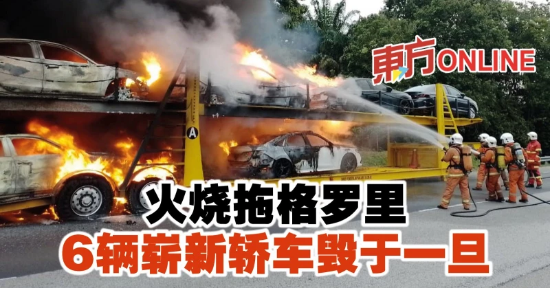 火燒拖格羅里　6輛嶄新轎車毀於一旦