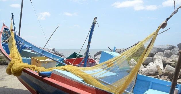 沙巴漁業資源已超過 100% 自給自足