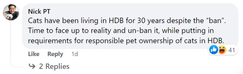 當局正探討放寬條例，允許居民在組屋單位內「光明正大」養貓