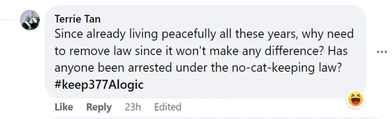 當局正探討放寬條例，允許居民在組屋單位內「光明正大」養貓