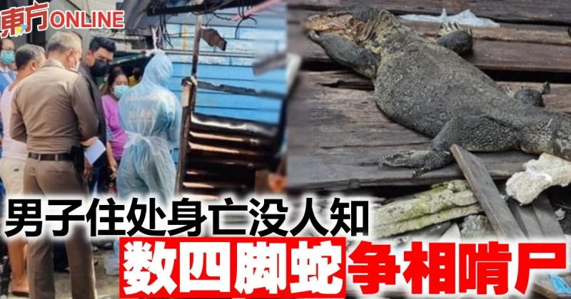 男子住處身亡沒人知　數四腳蛇爭相啃屍