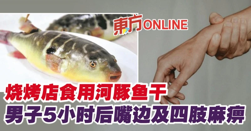 燒烤店食用河豚魚乾　男子5小時後嘴邊及四肢麻痹