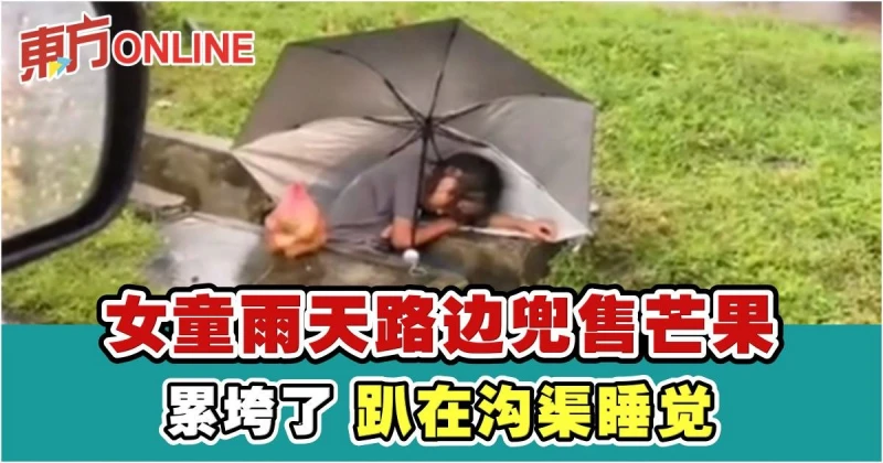 女童雨天路邊兜售芒果　累了撐傘趴在溝渠睡覺