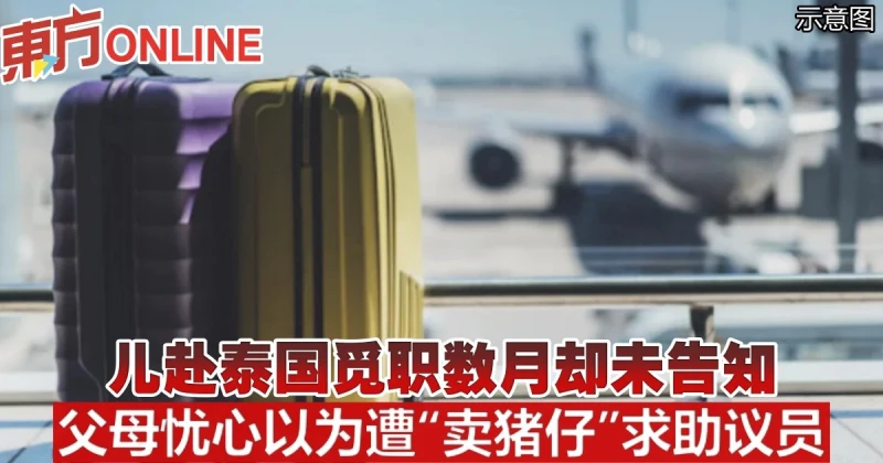 兒赴泰國覓職數月卻未告知　父母憂心以為遭「賣豬仔」求助議員