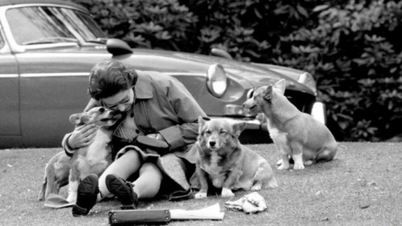 【英女王駕崩】在位期間全心投入王室公務　為國家人民鞠躬盡瘁