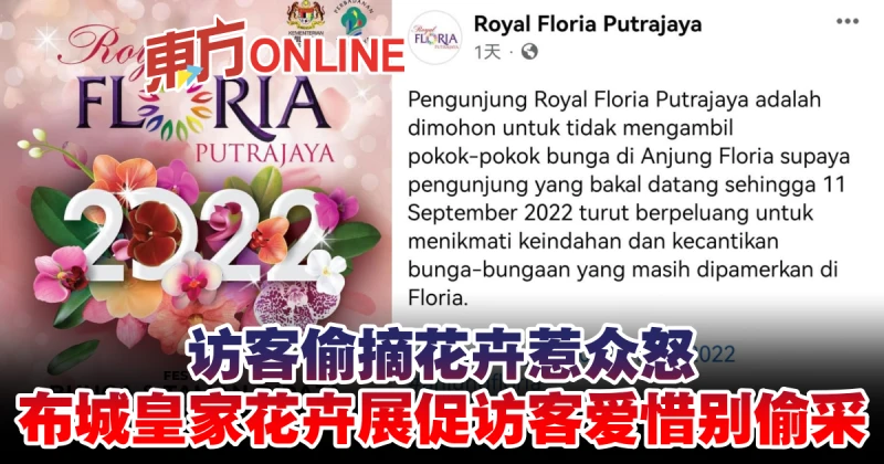 訪客偷摘花卉惹眾怒　布城皇家花卉展促訪客愛惜別偷采