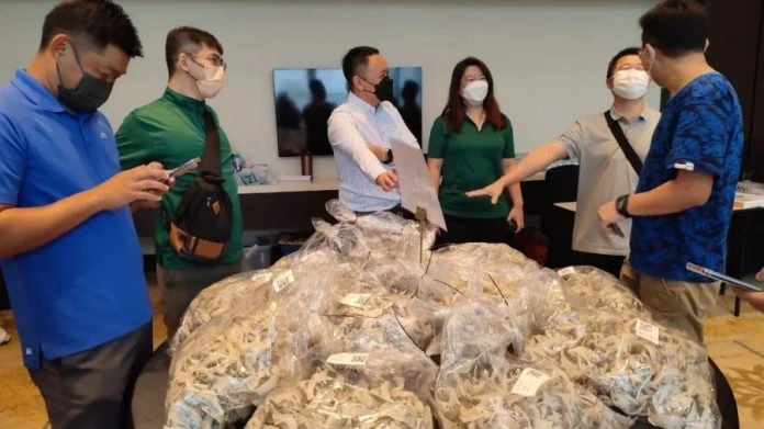 近100公斤毛燕成功拍賣　一小時總交易50萬