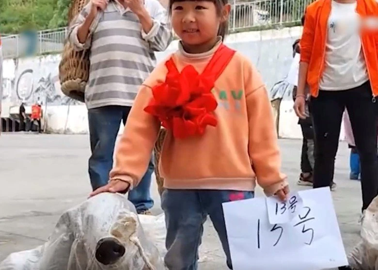 學生好好讀書　學校獎勵小豬