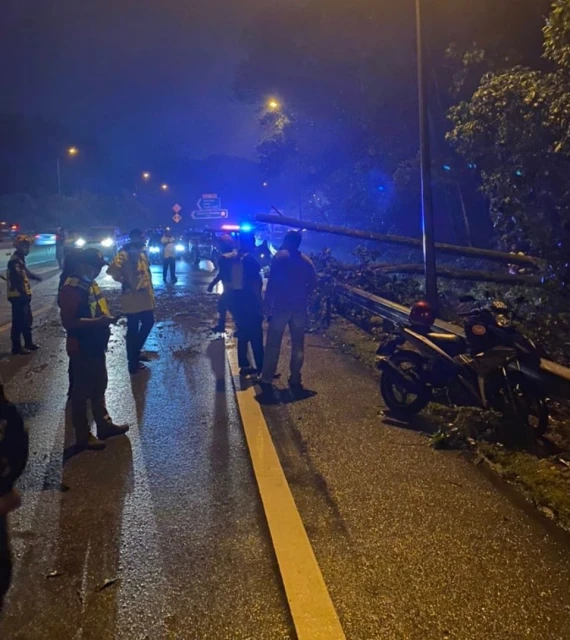 兼職後雨中騎摩哆趕路　大學生被倒下大樹壓死