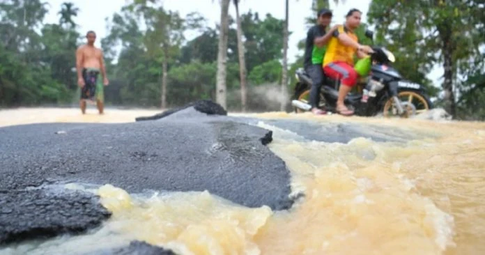 11月料發生大水災　工程部做好準備應對