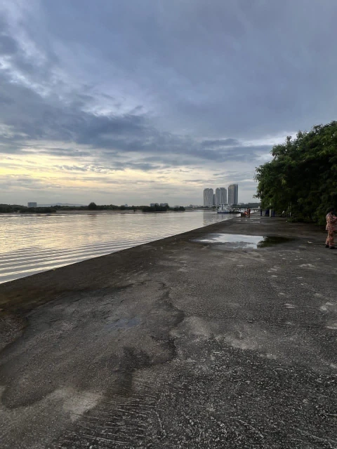 37歲華裔母親　攜16歲兒跳海輕生