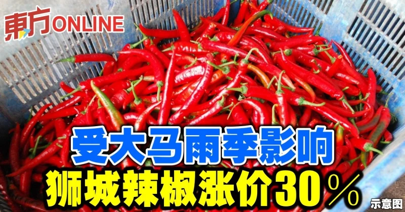 受大馬雨季影響　獅城辣椒漲價30％