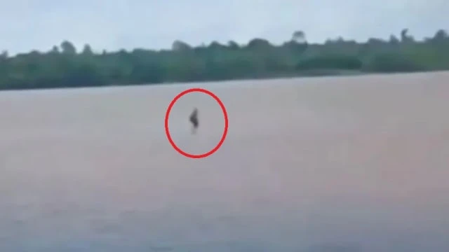 印尼神秘男「水上漂」視頻瘋傳 專家指這幾點很可疑