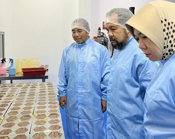 加馬威冀與化妝品廠商合作 提供牛油果黃梨原材料