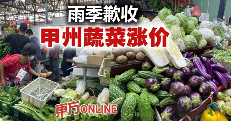 雨季來臨收成欠佳　甲州蔬菜價格喊漲
