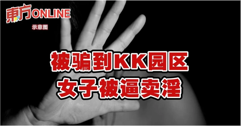 「賣豬仔」女受害者被迫賣淫遭遇悲慘