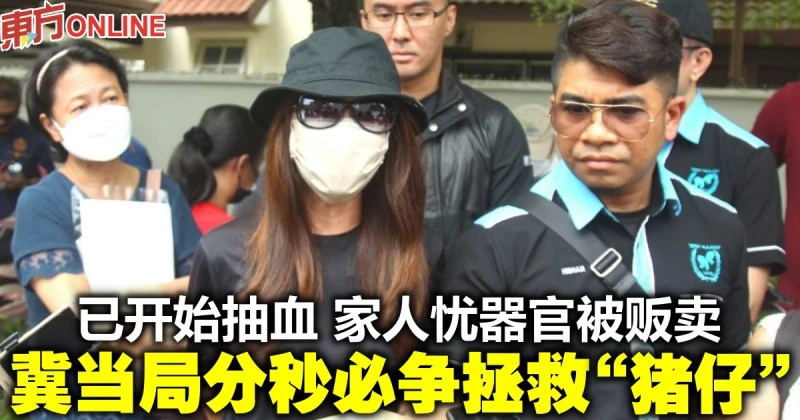 已開始抽血...家人憂器官被販賣　冀當局分秒必爭拯救「豬仔」