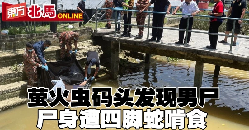 螢火蟲碼頭髮現男屍　屍身遭四腳蛇啃食