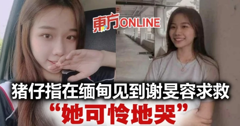 豬仔向家人透露　在緬甸見到失蹤的謝旻容求救