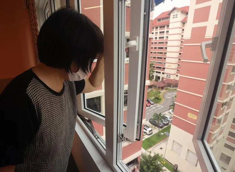 野雞早晚啼叫干擾作息　居民花錢裝隔音窗