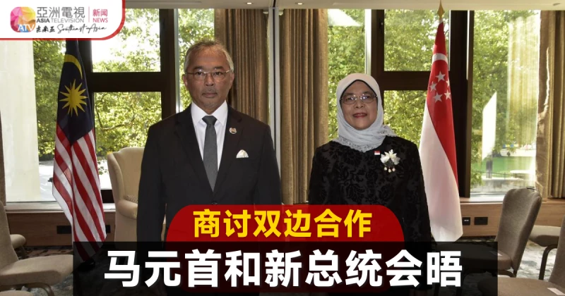 大馬國家元首獅城總統會晤 商兩國政府雙邊合作