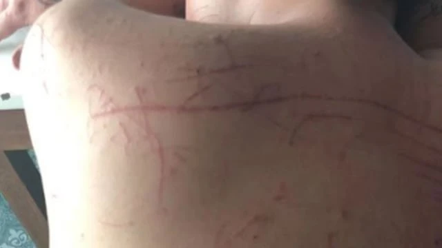 僱傭兵營救無果 馬國豬仔逃脫求助反被指偷渡坐牢兩年