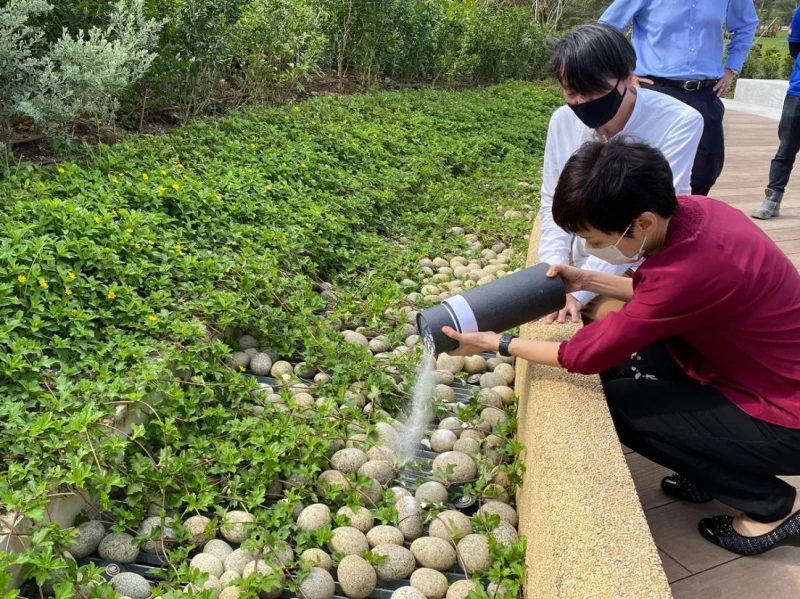 時隔五年，國人對骨灰撒在公園的做法接受度大轉變